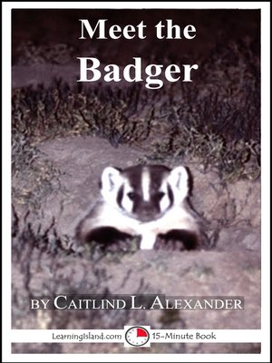 cover image of Meet the Badger
